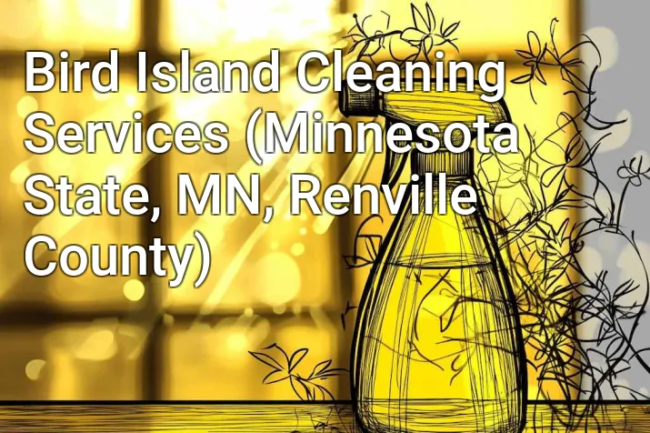 Bird Island Cleaning Services (Minnesota State, MN, Renville County)