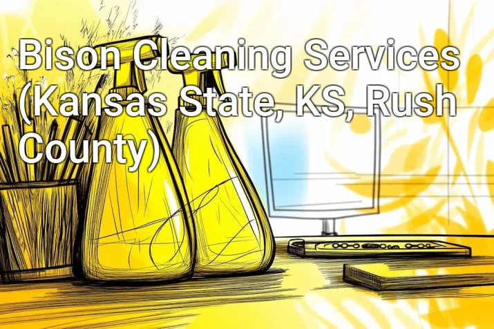 Bison Cleaning Services (Kansas State, KS, Rush County)