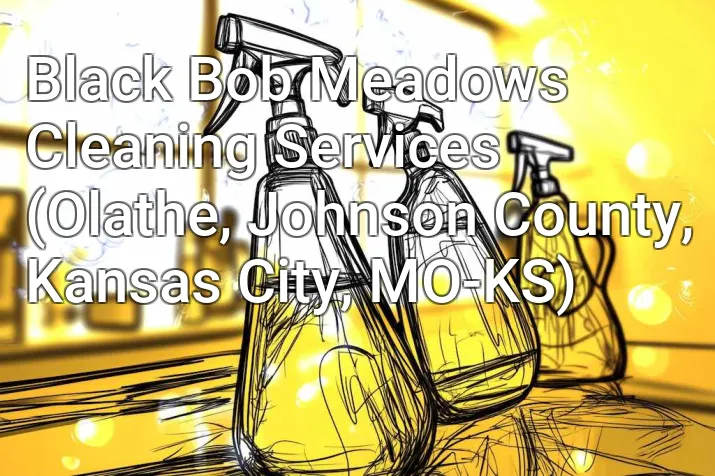 Black Bob Meadows Cleaning Services (Olathe, Johnson County, Kansas City, MO-KS)