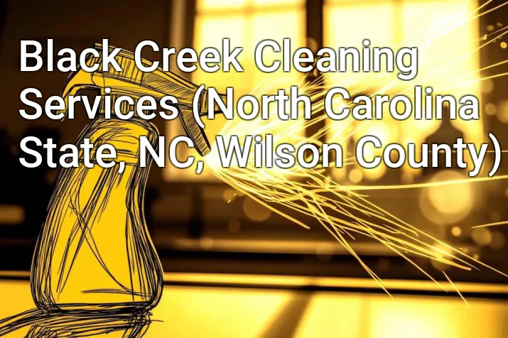 Black Creek Cleaning Services (North Carolina State, NC, Wilson County)