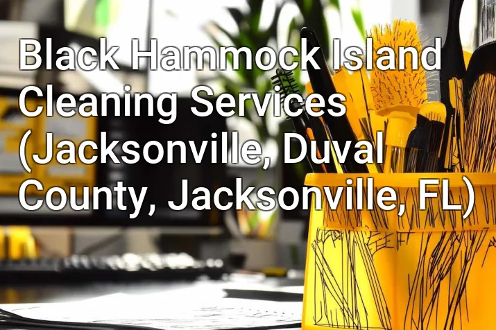 Black Hammock Island Cleaning Services (Jacksonville, Duval County, Jacksonville, FL)