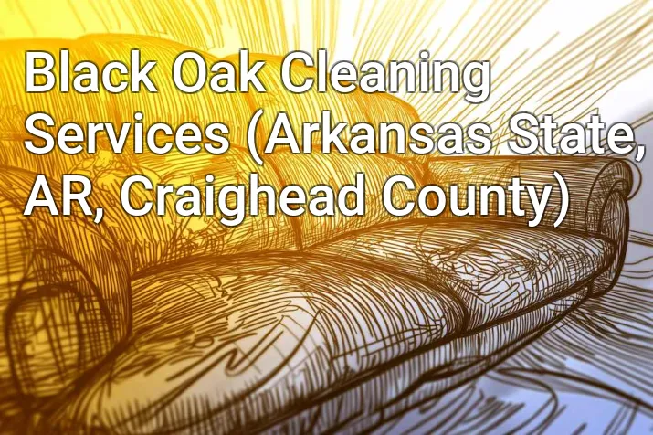 Black Oak Cleaning Services (Arkansas State, AR, Craighead County)
