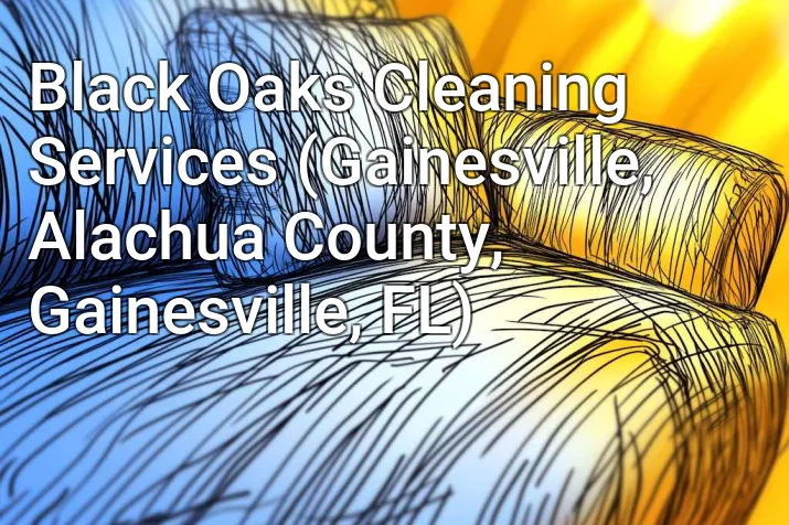 Black Oaks Cleaning Services (Gainesville, Alachua County, Gainesville, FL)