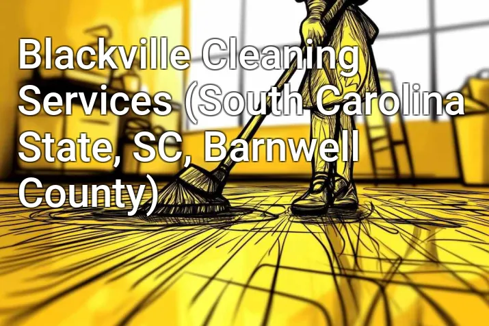 Blackville Cleaning Services (South Carolina State, SC, Barnwell County)