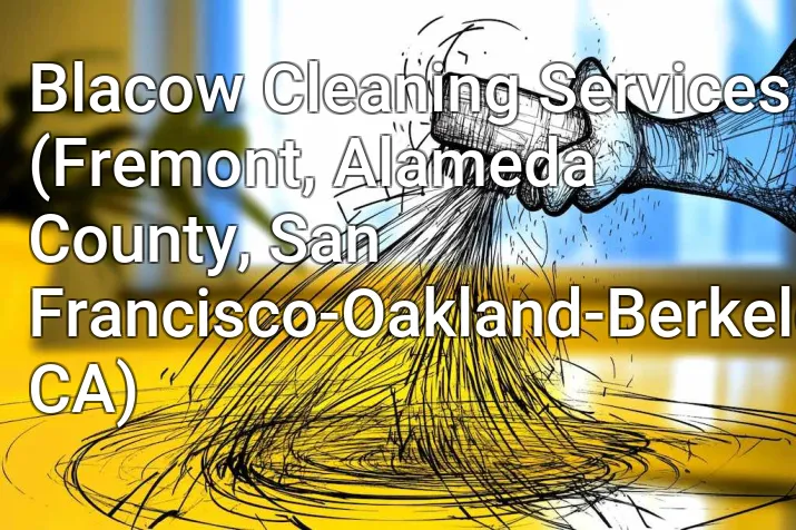 Blacow Cleaning Services (Fremont, Alameda County, San Francisco-Oakland-Berkeley, CA)