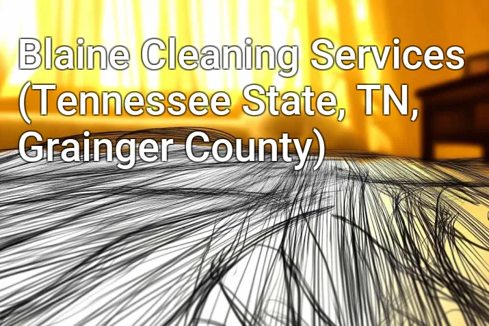 Blaine Cleaning Services (Tennessee State, TN, Grainger County)