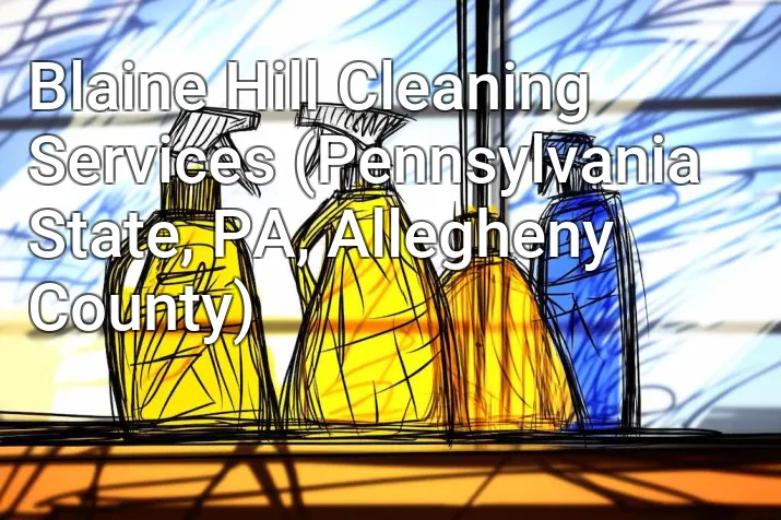 Blaine Hill Cleaning Services (Pennsylvania State, PA, Allegheny County)