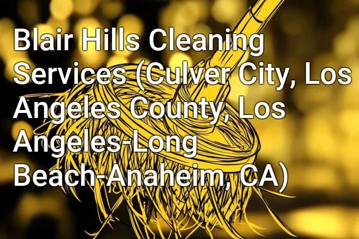 Blair Hills Cleaning Services (Culver City, Los Angeles County, Los Angeles-Long Beach-Anaheim, CA)