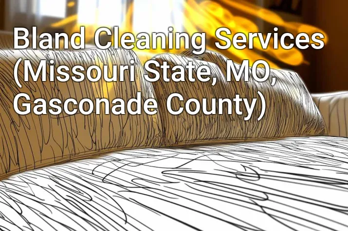 Bland Cleaning Services (Missouri State, MO, Gasconade County)