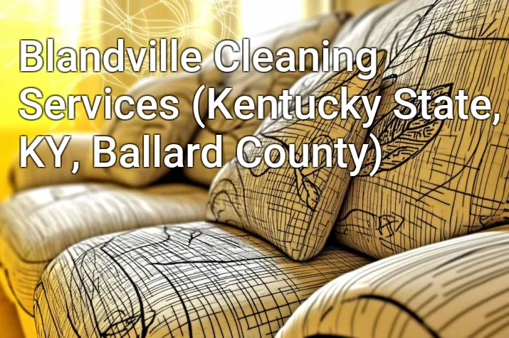 Blandville Cleaning Services (Kentucky State, KY, Ballard County)