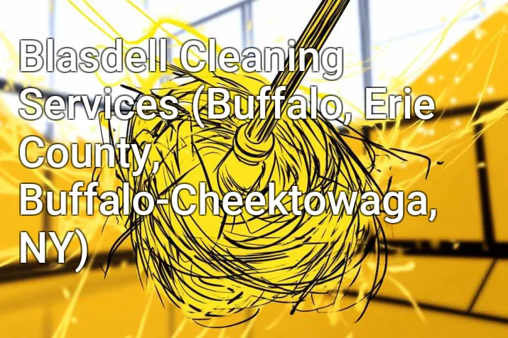 Blasdell Cleaning Services (Buffalo, Erie County, Buffalo-Cheektowaga, NY)