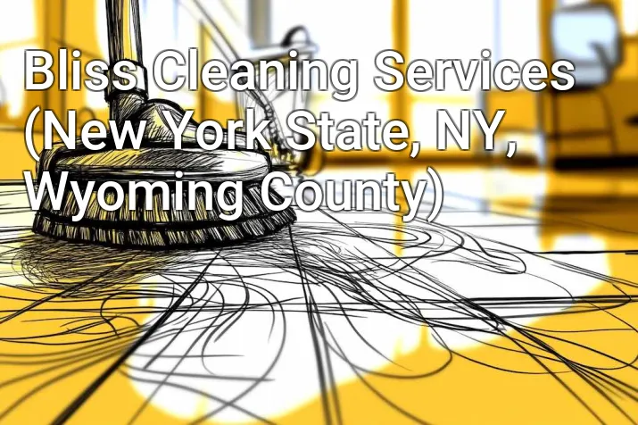 Bliss Cleaning Services (New York State, NY, Wyoming County)