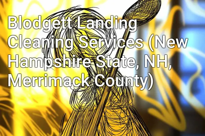 Blodgett Landing Cleaning Services (New Hampshire State, NH, Merrimack County)