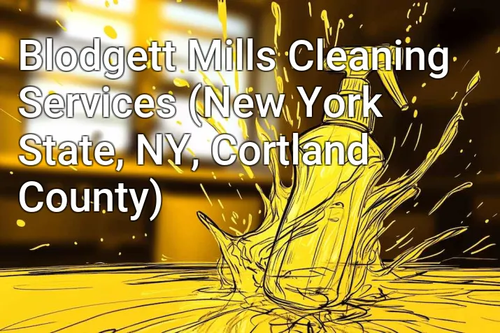 Blodgett Mills Cleaning Services (New York State, NY, Cortland County)