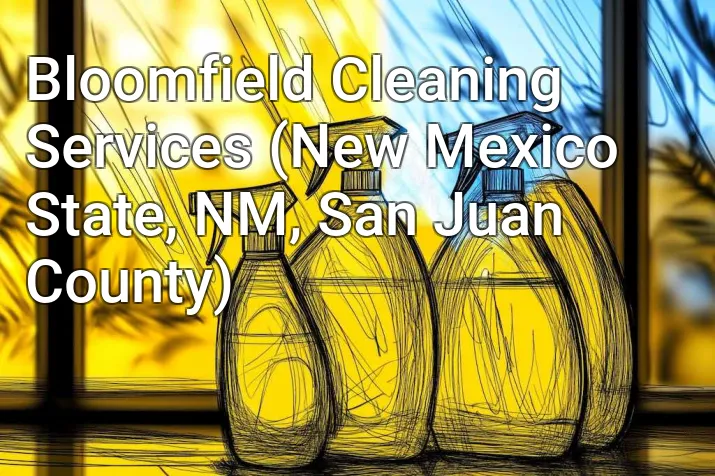 Bloomfield Cleaning Services (New Mexico State, NM, San Juan County)