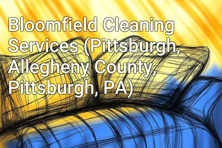 Bloomfield Cleaning Services (Pittsburgh, Allegheny County, Pittsburgh, PA)
