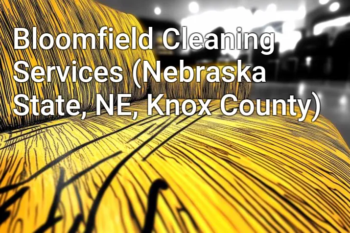 Bloomfield Cleaning Services (Nebraska State, NE, Knox County)