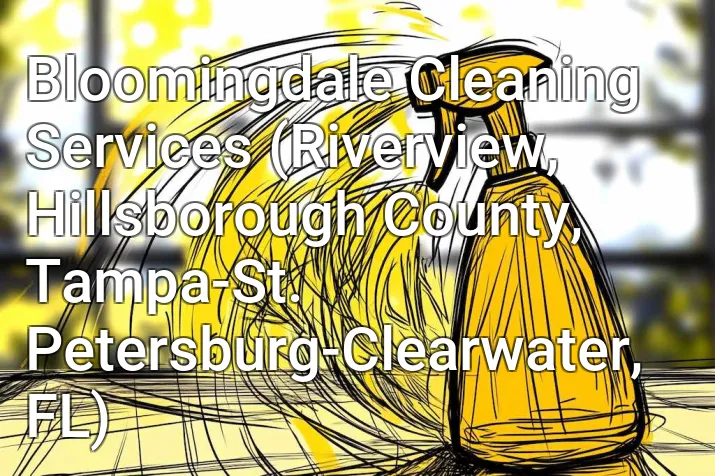 Bloomingdale Cleaning Services (Riverview, Hillsborough County, Tampa-St. Petersburg-Clearwater, FL)