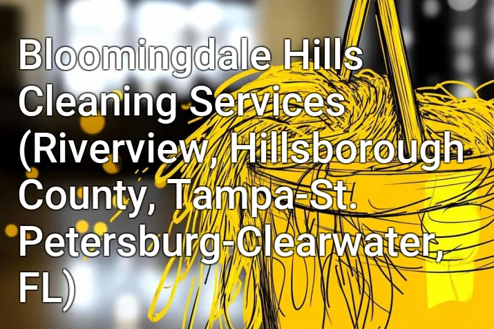 Bloomingdale Hills Cleaning Services (Riverview, Hillsborough County, Tampa-St. Petersburg-Clearwater, FL)
