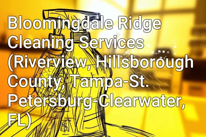 Bloomingdale Ridge Cleaning Services (Riverview, Hillsborough County, Tampa-St. Petersburg-Clearwater, FL)