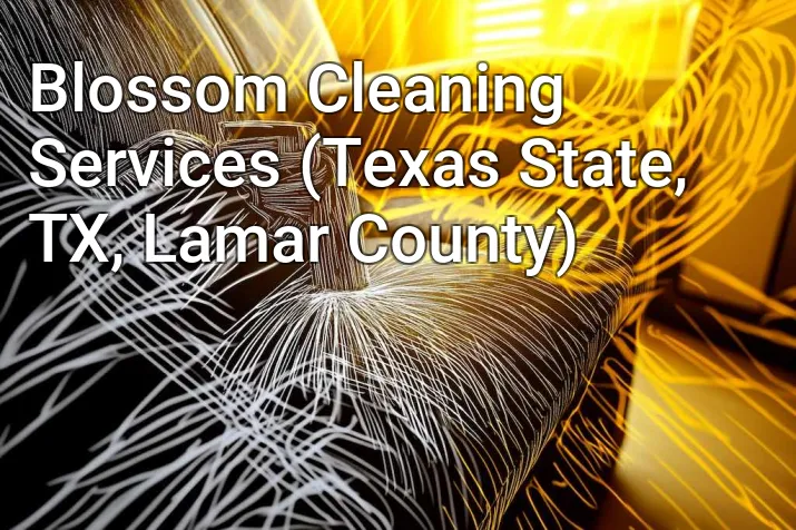 Blossom Cleaning Services (Texas State, TX, Lamar County)