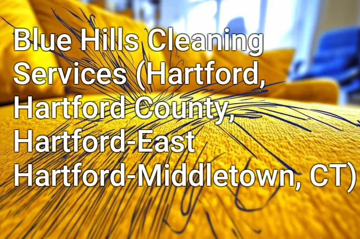 Blue Hills Cleaning Services (Hartford, Hartford County, Hartford-East Hartford-Middletown, CT)