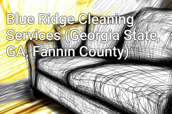 Blue Ridge Cleaning Services (Georgia State, GA, Fannin County)