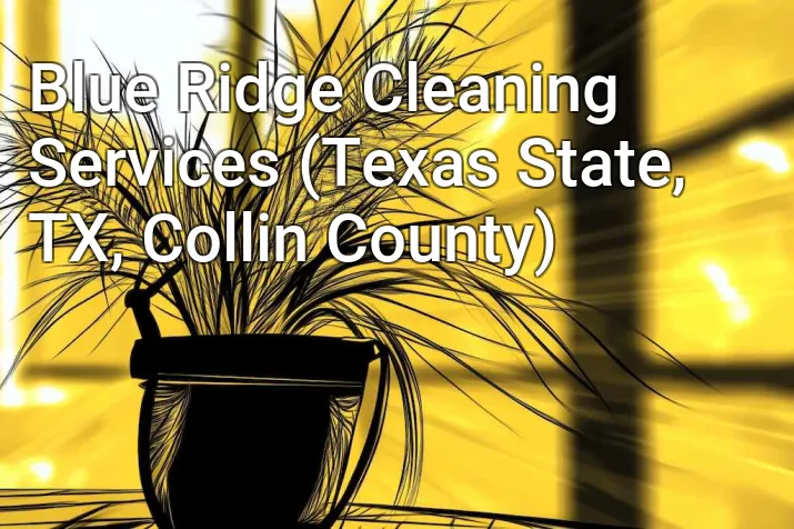 Blue Ridge Cleaning Services (Texas State, TX, Collin County)