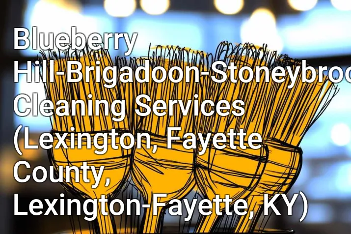 Blueberry Hill-Brigadoon-Stoneybrook-Baralto Cleaning Services (Lexington, Fayette County, Lexington-Fayette, KY)