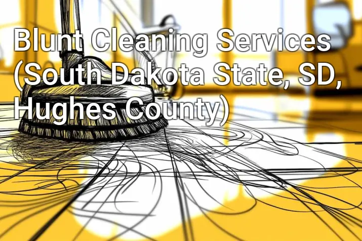 Blunt Cleaning Services (South Dakota State, SD, Hughes County)