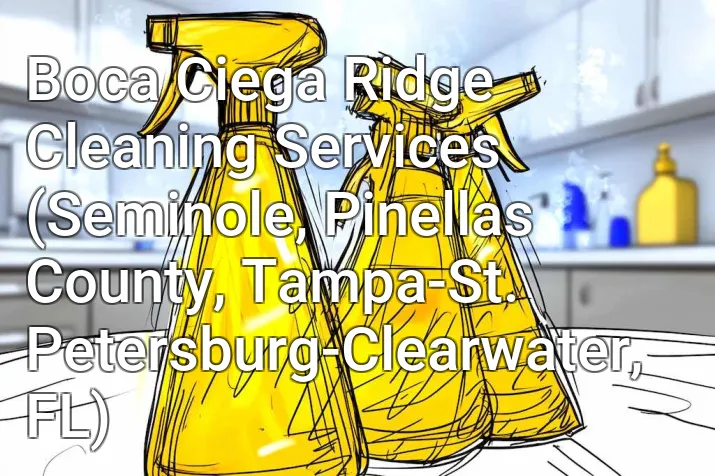 Boca Ciega Ridge Cleaning Services (Seminole, Pinellas County, Tampa-St. Petersburg-Clearwater, FL)