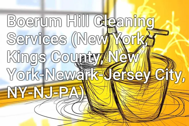 Boerum Hill Cleaning Services (New York, Kings County, New York-Newark-Jersey City, NY-NJ-PA)