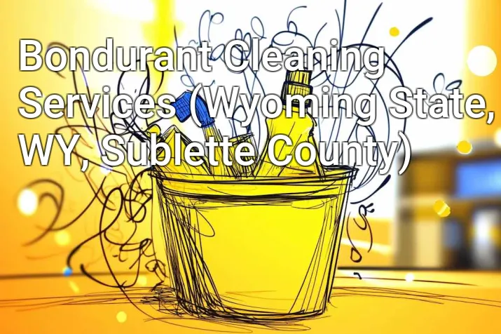 Bondurant Cleaning Services (Wyoming State, WY, Sublette County)