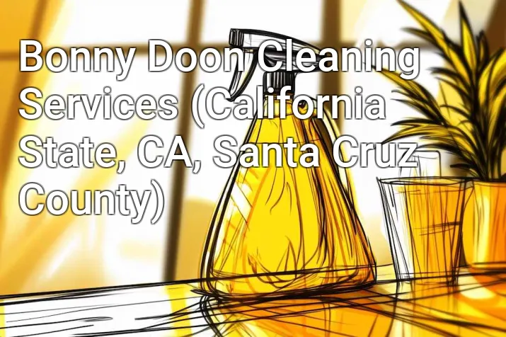 Bonny Doon Cleaning Services (California State, CA, Santa Cruz County)