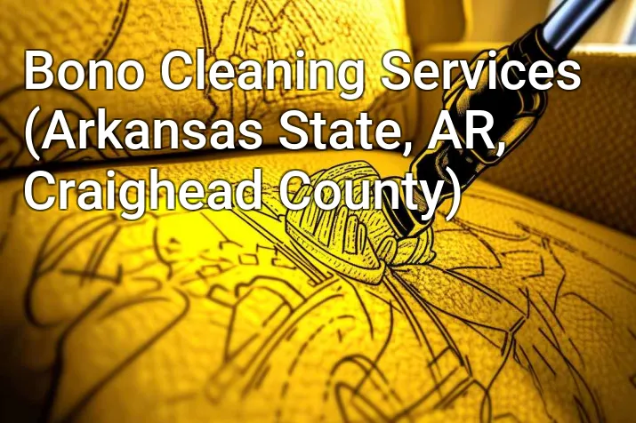 Bono Cleaning Services (Arkansas State, AR, Craighead County)
