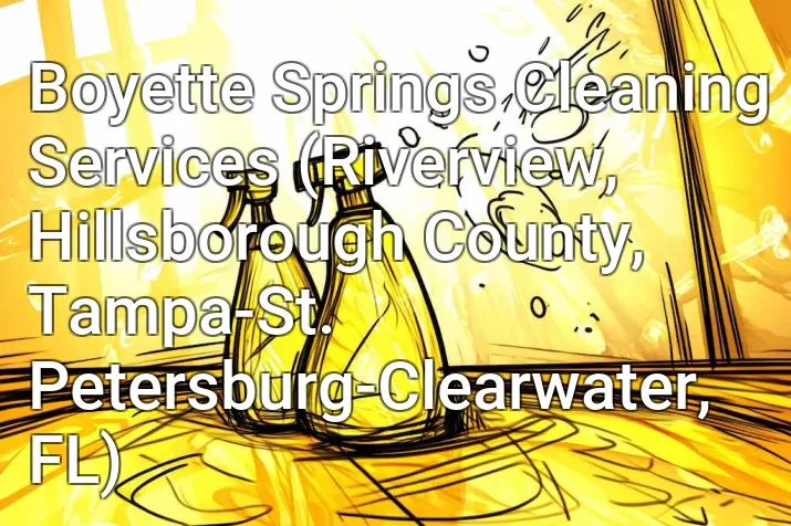 Boyette Springs Cleaning Services (Riverview, Hillsborough County, Tampa-St. Petersburg-Clearwater, FL)