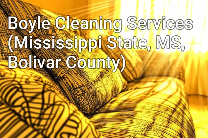 Boyle Cleaning Services (Mississippi State, MS, Bolivar County)