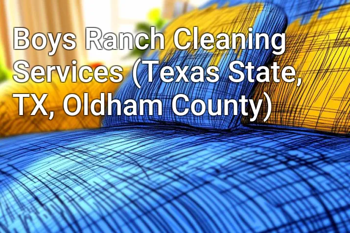 Boys Ranch Cleaning Services (Texas State, TX, Oldham County)