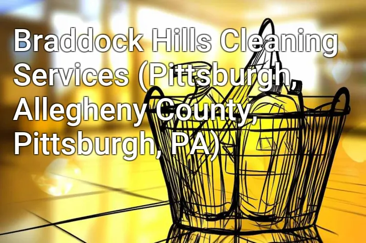 Braddock Hills Cleaning Services (Pittsburgh, Allegheny County, Pittsburgh, PA)