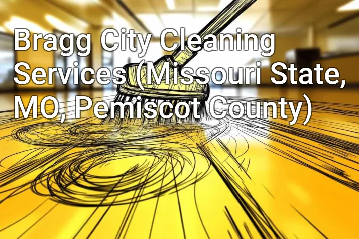 Bragg City Cleaning Services (Missouri State, MO, Pemiscot County)