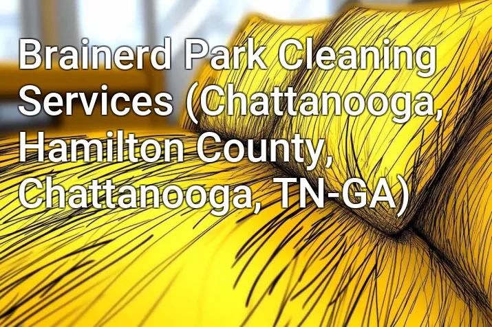 Brainerd Park Cleaning Services (Chattanooga, Hamilton County, Chattanooga, TN-GA)