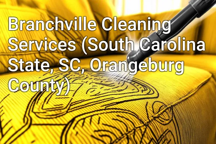 Branchville Cleaning Services (South Carolina State, SC, Orangeburg County)