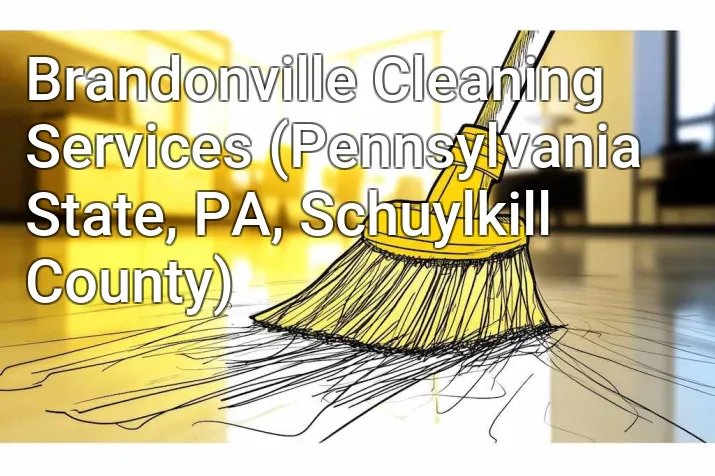Brandonville Cleaning Services (Pennsylvania State, PA, Schuylkill County)