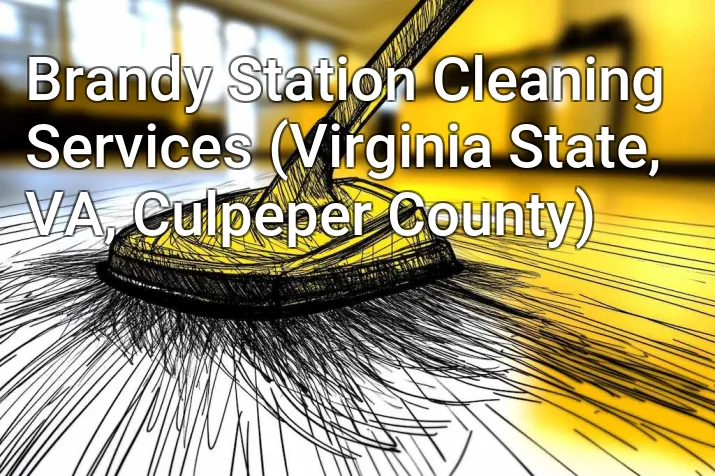Brandy Station Cleaning Services (Virginia State, VA, Culpeper County)