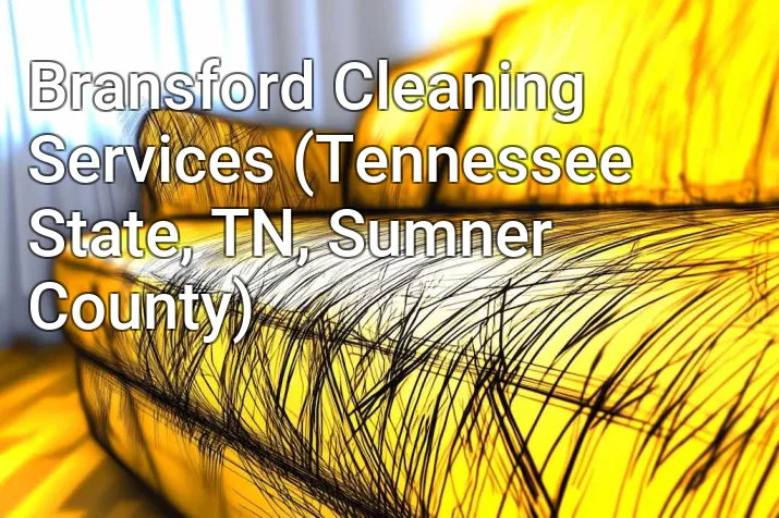 Bransford Cleaning Services (Tennessee State, TN, Sumner County)