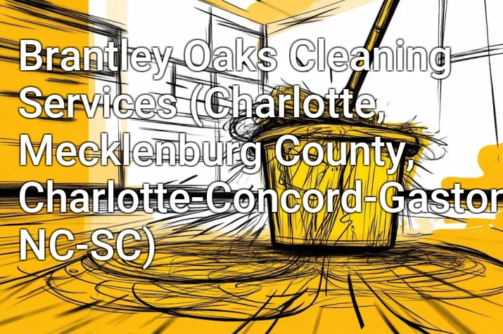 Brantley Oaks Cleaning Services (Charlotte, Mecklenburg County, Charlotte-Concord-Gastonia, NC-SC)
