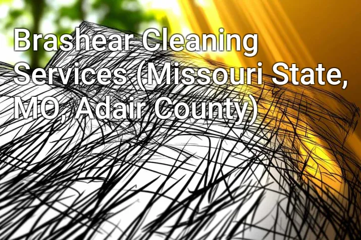 Brashear Cleaning Services (Missouri State, MO, Adair County)