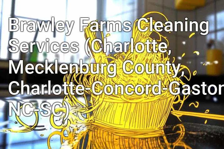 Brawley Farms Cleaning Services (Charlotte, Mecklenburg County, Charlotte-Concord-Gastonia, NC-SC)