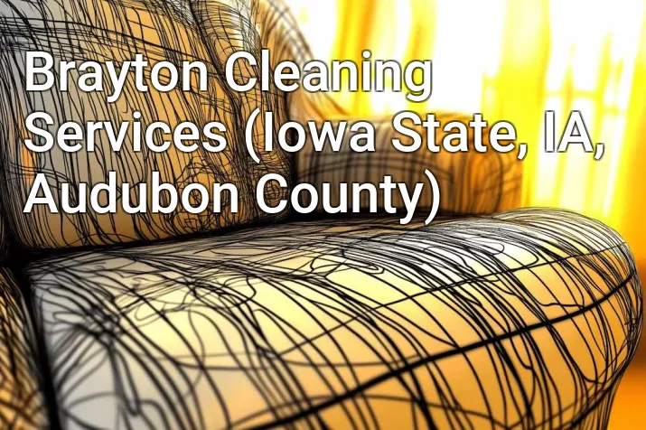 Brayton Cleaning Services (Iowa State, IA, Audubon County)