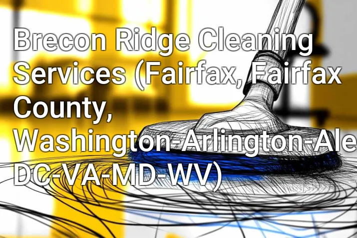 Brecon Ridge Cleaning Services (Fairfax, Fairfax County, Washington-Arlington-Alexandria, DC-VA-MD-WV)